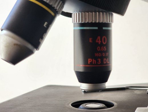Professional Asbestos Testing and Inspection Services in San Diego, CA